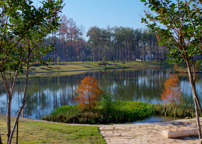 White Oak Lake Estates Axis Point